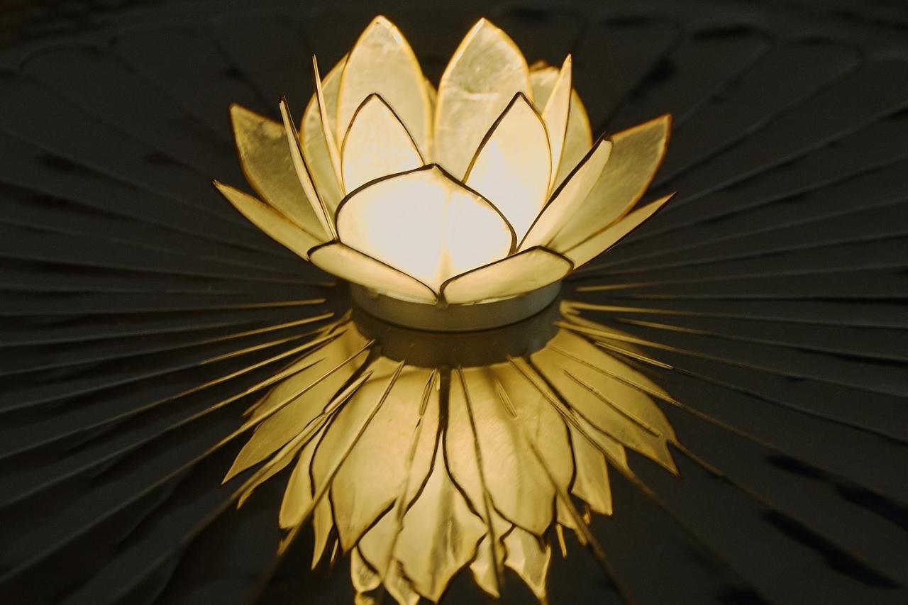 White Lotus Apartment Wien Eksteriør bilde